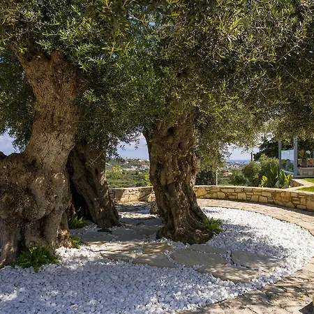 Luxury Olivenest With Private Heated Pool, Hot Tub & Sauna